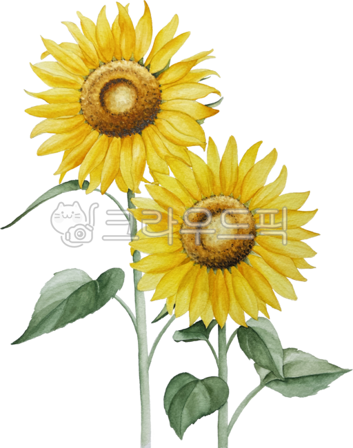 해바라기,꽃,여름,노랑,오렌지색,개화,만개,수채화,손그림,sunflower,flower,blooming,blossom,yellow,orange,watercolor,handdrawn,summer