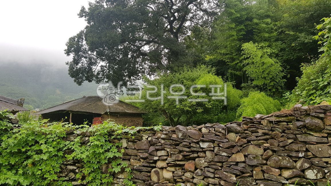 시골,풍경,시골풍경,시골담장,담,시골집,전통집,전통담장