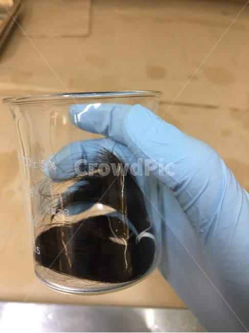 머리카락,현미경,실험,장갑,비이커,큐티클,실험실,머리,과학,분석,과학실험