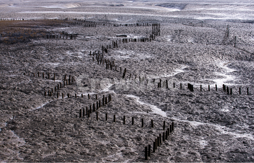 바다,갯벌,갯골,말뚝,썰물,풍경,감성,자연,자연,풍경,nature,landscape,해변,바다,beach,sea,흑백,모노톤,monochrome,black and white,ground,바닥,soil,흙,outdoors,옥외