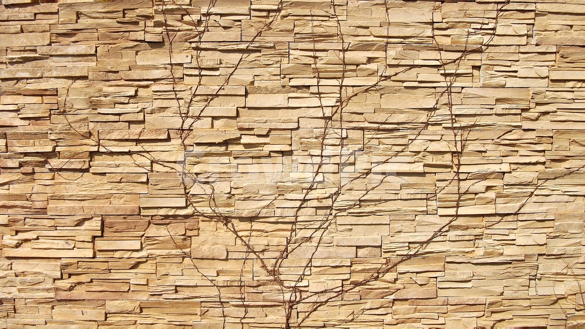 벽,월페이퍼,나무,마른나무,벽돌,바탕화면,봄,wallpaper,tree,brick,architecture,배경,texture,가지,질감,패턴,배경화면,나무가지,배경사진,건축물,건물외관,exterior,building,structure,architecture,construction