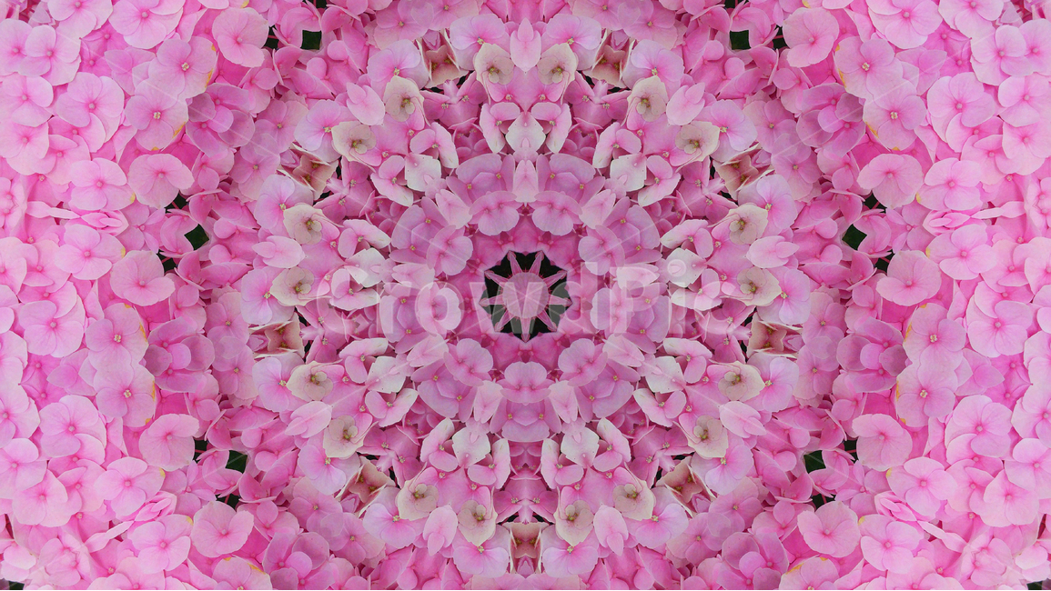 패턴,기하학,추상,360도,배경,환상적,background,wallpaper,색감,색상,아름다운,artistic,칼라풀,예쁜,모던,morden,백그라운드,디자인,graphic,design,art,feeling,emotion,sensibility,colorful,분위기,필링,그래픽,라인,컨셉,디자인소스,화려한,아트,샤프한,웹,느낌,효과,웨이브,꽃무늬,핑크색,분홍색,pink,텍스처,질감,패턴,texture,pattern