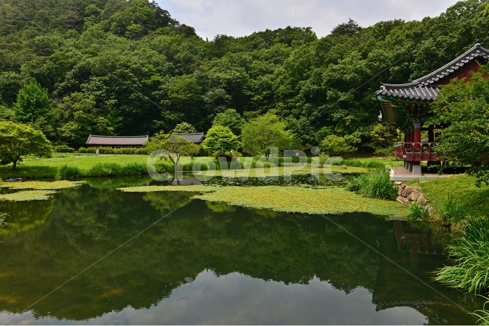 경북,울진,천축산,불영사,건물,건축물,반영,절,water,물,nature,자연,outdoors,옥외,자연,풍경,nature,landscape,한국자연풍경,한국자연경관,korea nature landscape,한국전통,한국문화,korean traditional,korean culture,land,땅