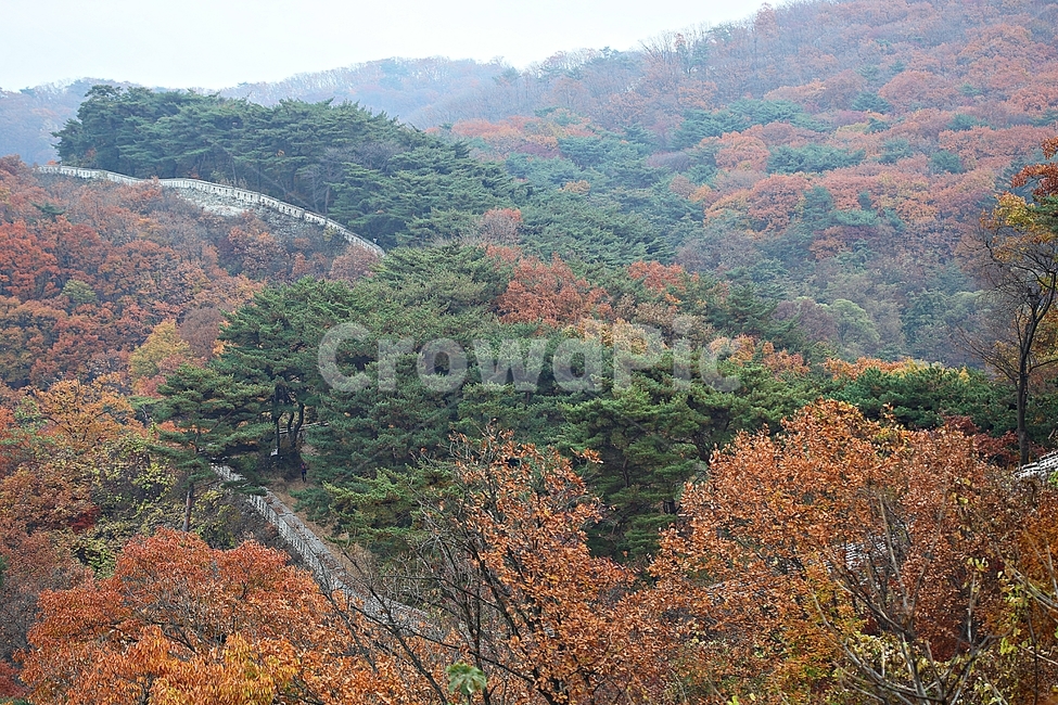 남한산성,성,성곽,단풍,낙엽,길,둘레길,숲,숲길,담,돌담,가을,자연,풍경,벽,울긋불긋,산성,식물,가을,계절,fall,autumn,season