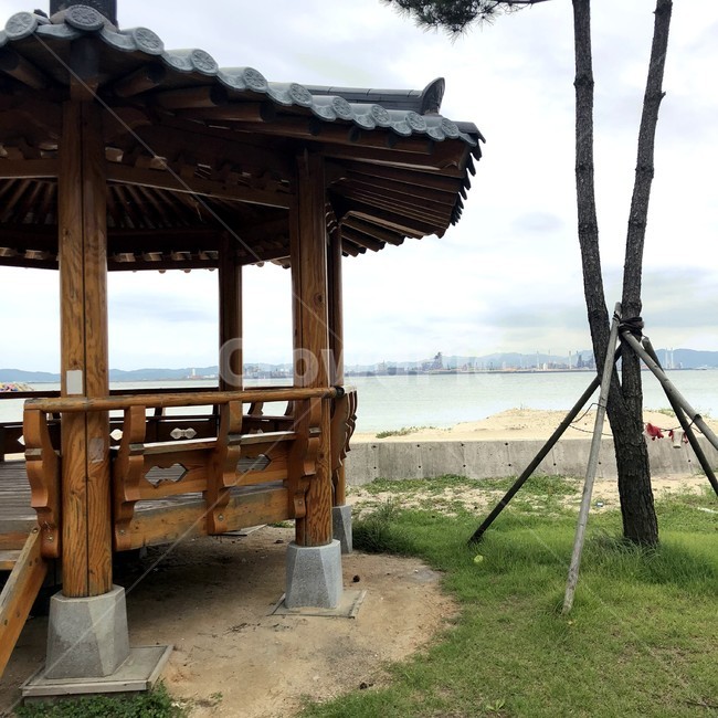 정자,바다,바닷가,휴식,그늘,여유