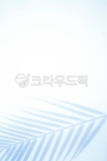 shadow,beauty,White space,Modern,palm tree,radial,tropical country,leaves,copy space,stripe,natural,shape,tree,emptied,pointed,light,background,shining,plant,silhouette,loose,green yellow,hundred,bush,pattern,frond,sun,summer,fluttering,design,advertiseme