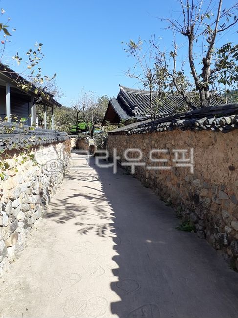 한옥,골목,돌담길,남사예담촌,한옥마을,촌,가을풍경