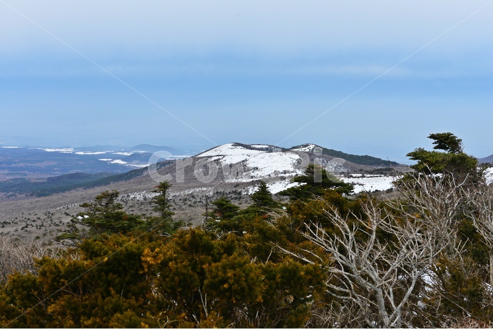 제주,한라산,한라산설경,오름,설경,겨울,계절,경치,경관,풍경,영실,윗세오름,outdoors,옥외,snow,눈,nature,자연,mountain,산,plant,식물,tree,나무,fir,전나무,mountainrange,산맥