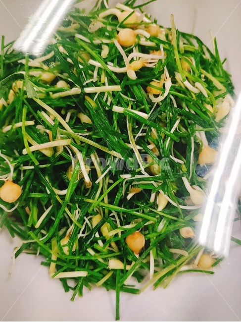 plant,식물,food,음식,야채,달래