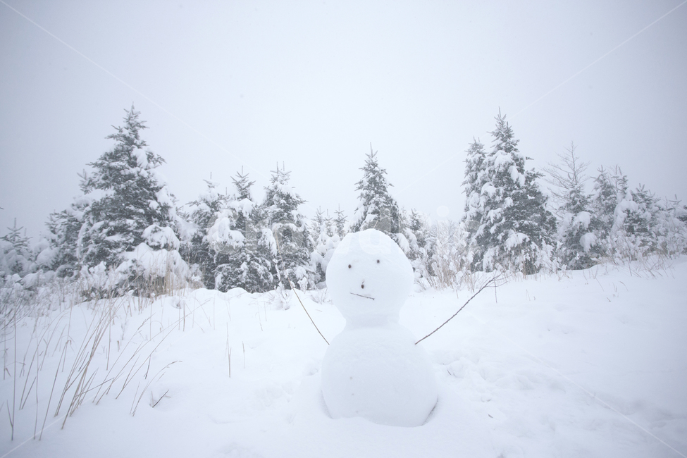 자연,눈,snow,눈사람,겨울,겨울,계절,winter,season,자연,풍경,nature,landscape