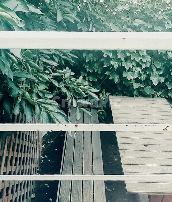 나무,원목,마당,벤치,울타리,잎,평상,식물,자연,plants,nature