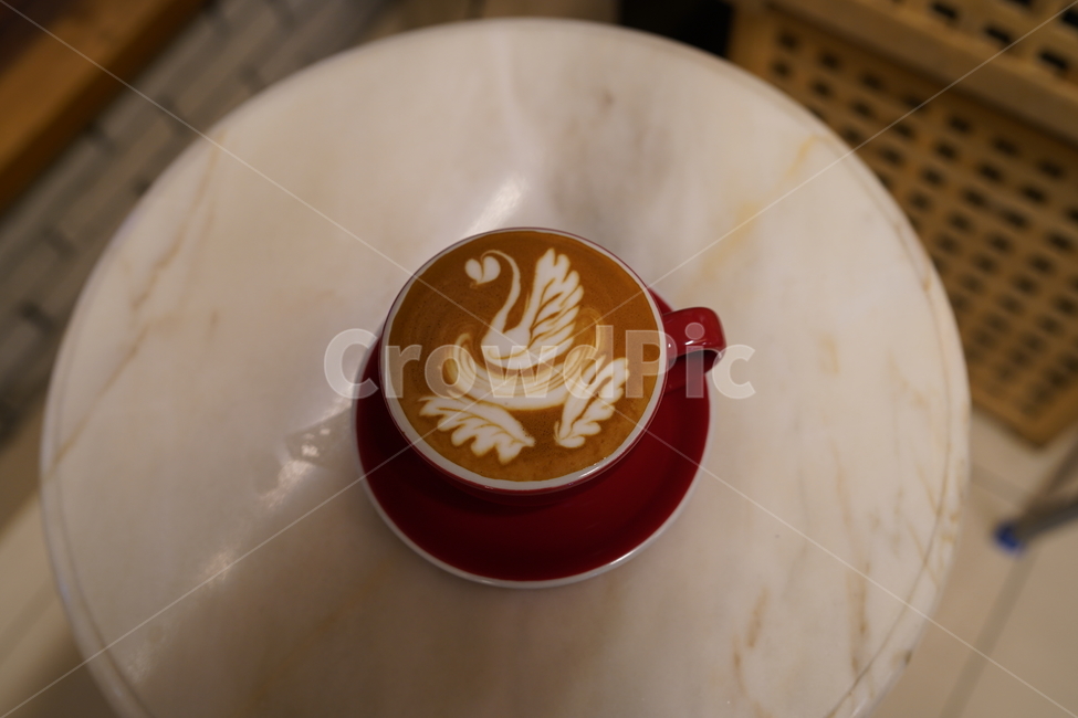 커피,카페라떼,라떼아트,coffee,cafelatte,latteart,백조,swan,음료수,drink,beverage,커피,카페,coffee,cafe