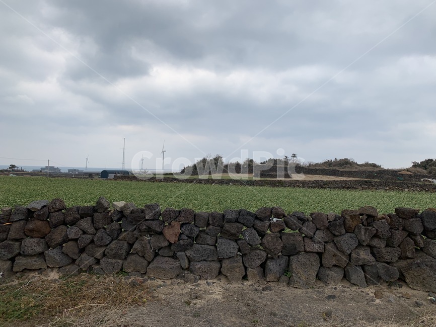 제주,자연,하늘,돌담길,평온,자연,풍경,nature,landscape,제주도,jeju,jeju island,wall,벽,rubble,파편