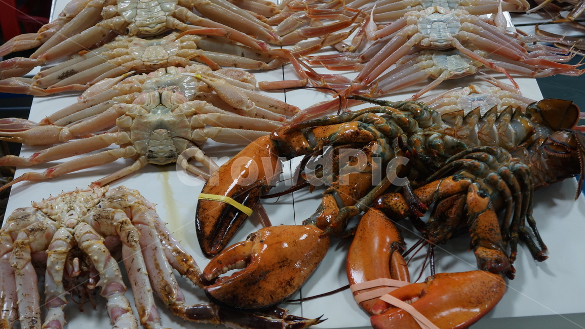 영덕,대게,영덕대게,게다리,랍스타,수산물,해산물,fishery products,seafood