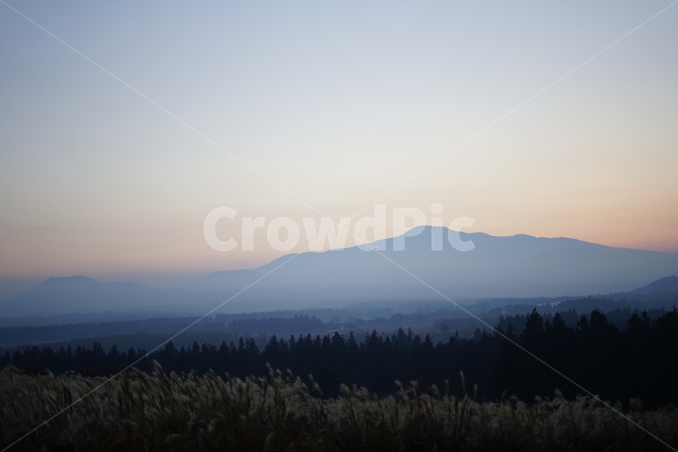 갈대,억새,노을,갈대밭,억새밭,자연,풍경,nature,landscape,plant,식물,grass,잔디,tree,나무,fir,전나무