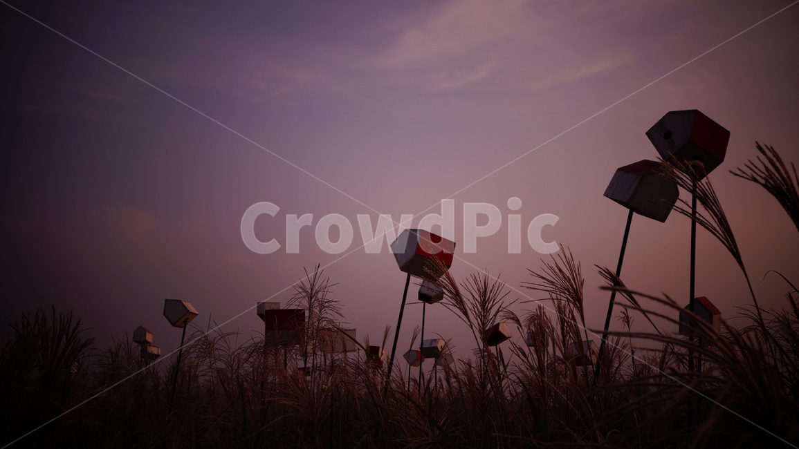 바람,갈대,쓸쓸,고요,하늘,가을,계절,fall,autumn,season,자연,풍경,nature,landscape,grass,잔디,plant,식물