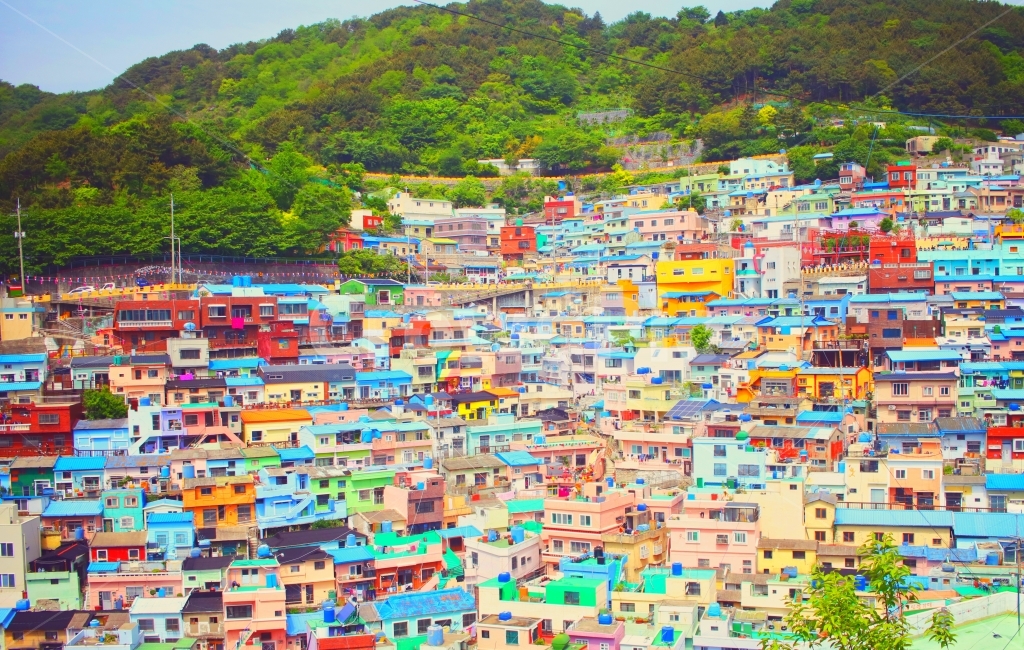 감청마을,부산,파스텔,건물,주택,도시,자연,풍경,산,컬러,여행,부산여행,부산감청마을,도시,풍경,city,landscape,한국도시풍경,한국도시경관,korea cityscape,색깔,색상,색채,색감,color sense,color sensitivity,feeling of color