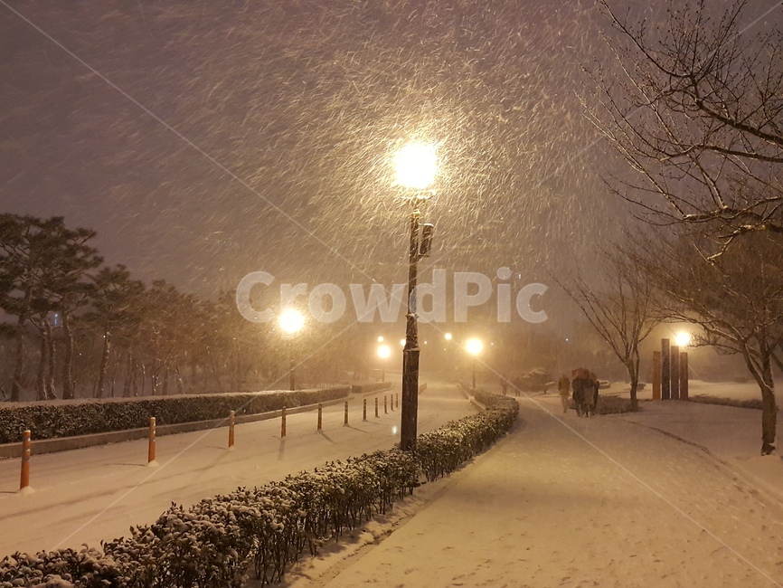 겨울,야경,눈,캠퍼스,가로등,눈길,winter,street,season,background,겨울,계절,winter,season,야경,밤,풍경,nightscape,night,landscape,storm,폭풍,nature,자연,outdoors,옥외,blizzard,눈보라,snow,weather,날씨,light,빛,flare,플레어