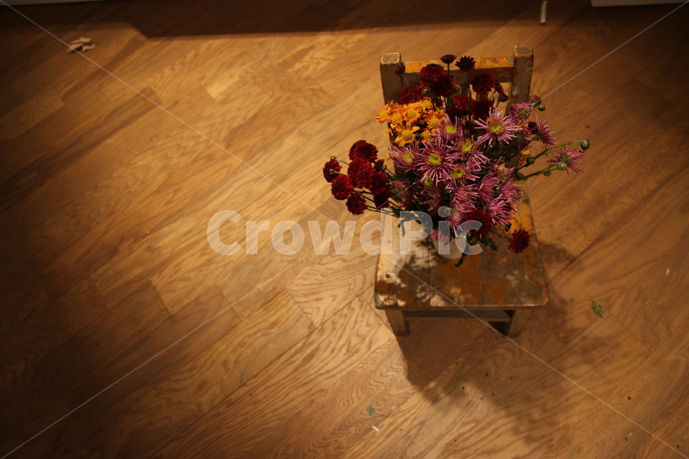 dryflower,chair,bouquet,dried flower,dried flowers,flower
