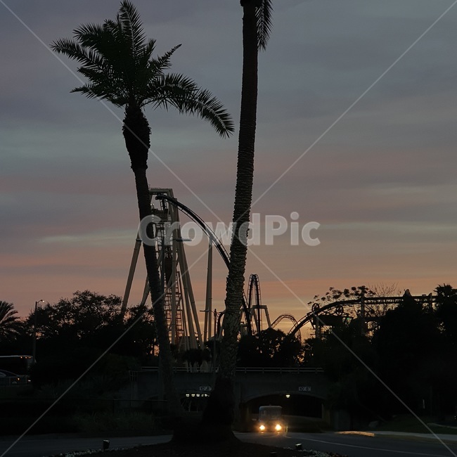 amusementpark,놀이공원,야자수,석양,palmtree,sunset,florida,플로리다,여름,summer