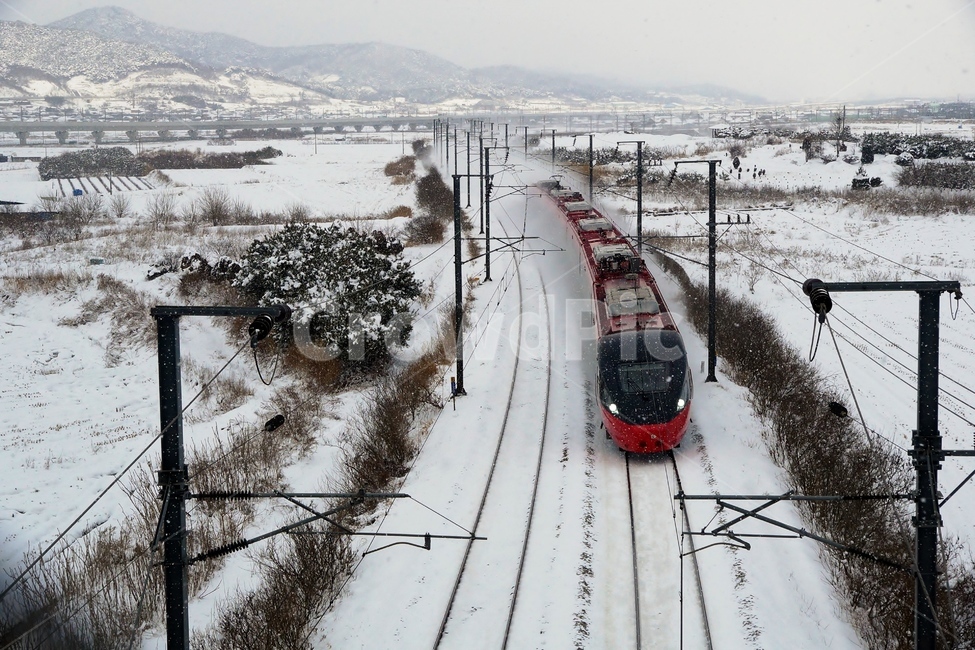설경,기차,질주,여행,겨울,겨울,계절,winter,season,교통,교통수단,traffic,transportation