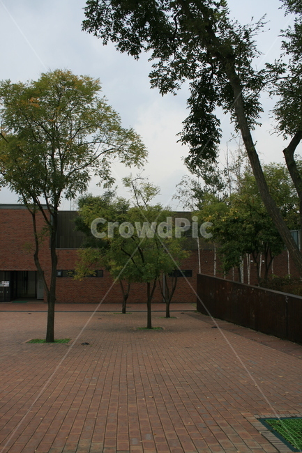 공원,나무,풍경,식물,plant,자연,풍경,nature,landscape,tree,path,통로,walkway,보도