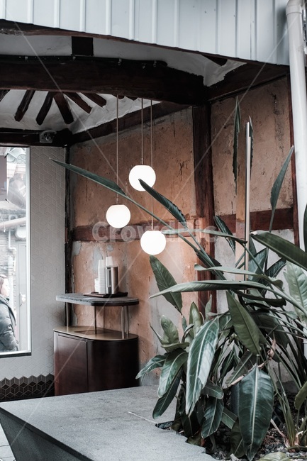 조명,나무,초록색,한옥,인테리어,한옥인테리어,lighting,tree,plants,식물,식물인테리어,koreanhouse,interior