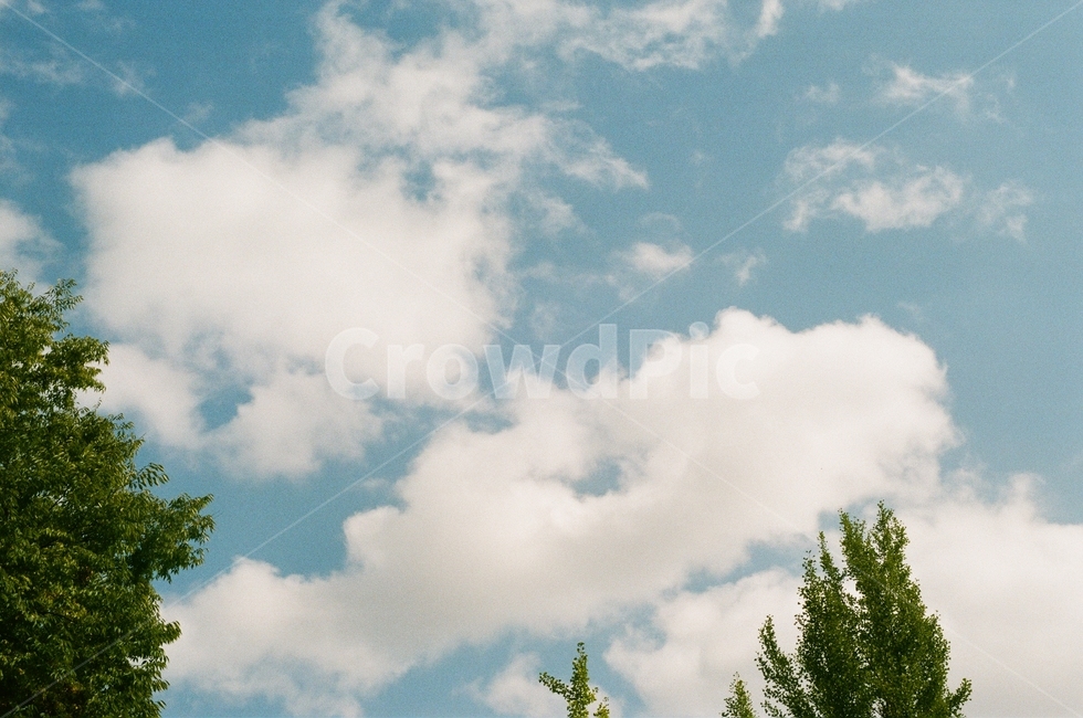 구름,cloud,하늘,sky,식물,나무,자연,풍경,nature,landscape