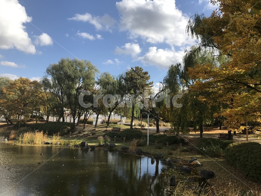 천안삼거리공원,맑은하늘,호수,멋진풍경,산책,자연,풍경,nature,landscape,water,물,outdoors,옥외,land,땅