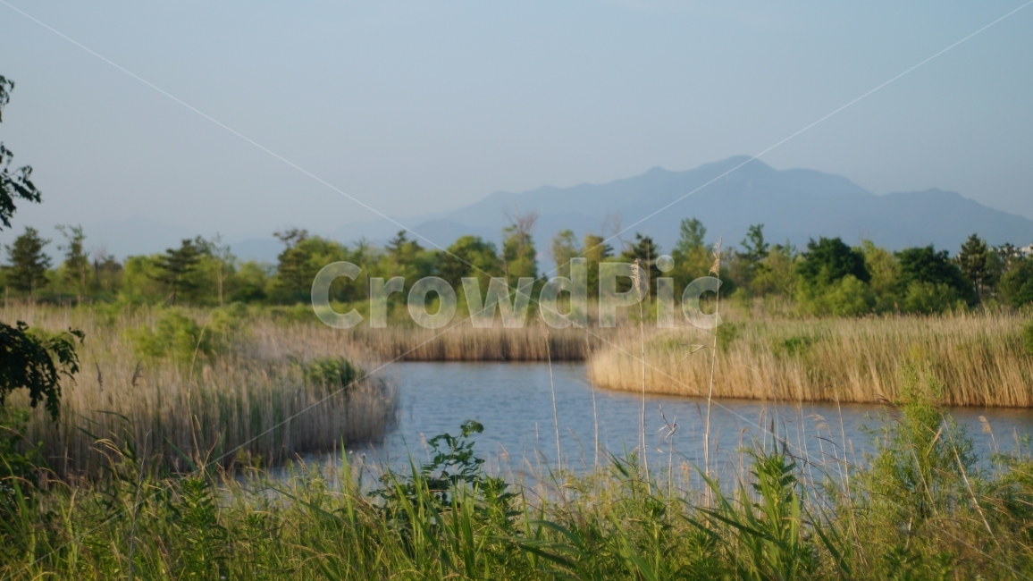 공원,구도,편안함,오후,분위기,감성,감성사진,감각,자연,풍경,nature,landscape,grass,잔디,plant,식물,outdoors,옥외,land,땅,water,물