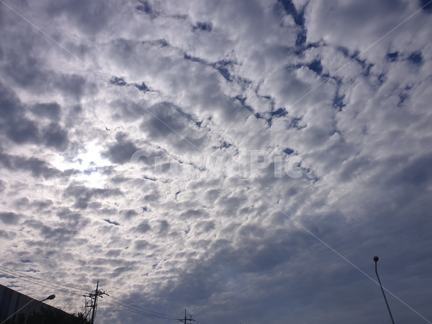 outdoors,nature,autumn,sky,cloud,가을,하늘,구름,뭉개구름,파란하늘,가을저녁,예쁜하늘