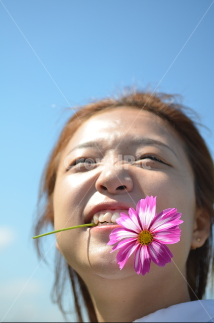 꽃,코스모스,하늘,꽃을문여자,상쾌,꽃,flower,사람,인물,인간,human,person,여성,여자,woman,female,lady