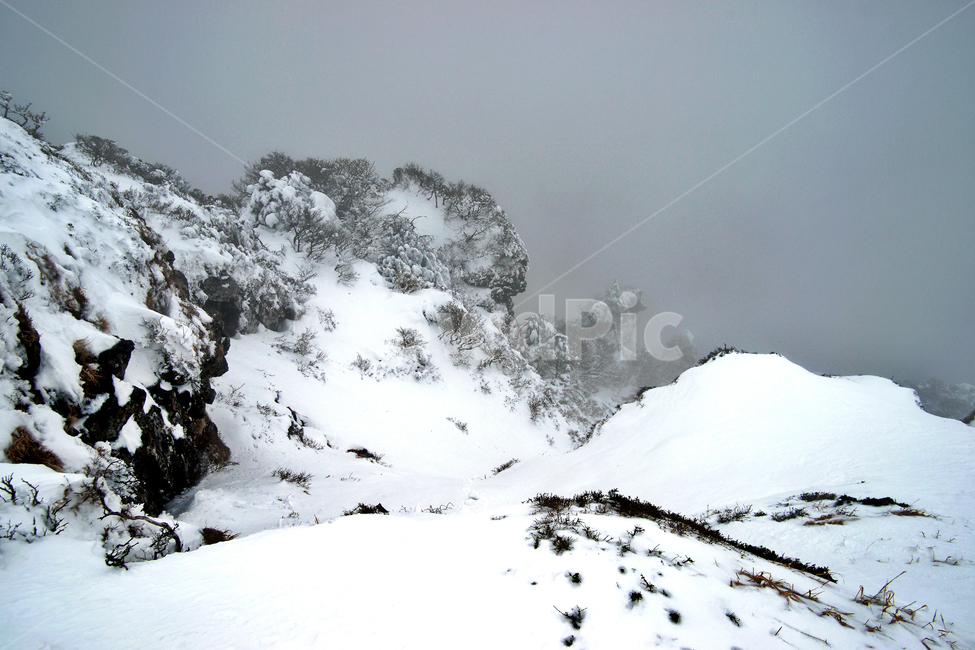한라산,설경,제주도,영실코스,눈,겨울,설화,안개,겨울,계절,winter,season