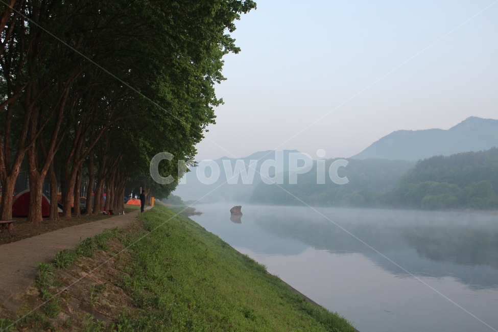 물안개,안개,강,river,fog,waterfog,nature,자연,tree,아침,morning,자연,풍경,nature,landscape,한국자연풍경,한국자연경관,korea nature landscape,outdoors,옥외