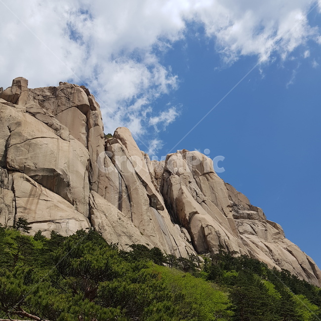 등산,나무,산,숲,hiking,cloud,sky,삼림,자연,수목,경관,힐링,초록,nature,설악산,울산바위,healing,refresh,자연,풍경,nature,landscape,한국자연풍경,한국자연경관,korea nature landscape,outdoors,옥외