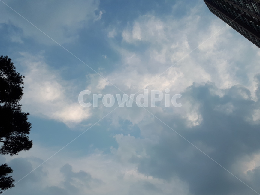 하늘,구름,하늘구름,깃털느낌,신기,오묘,bluesky,amazing,cloud,sky