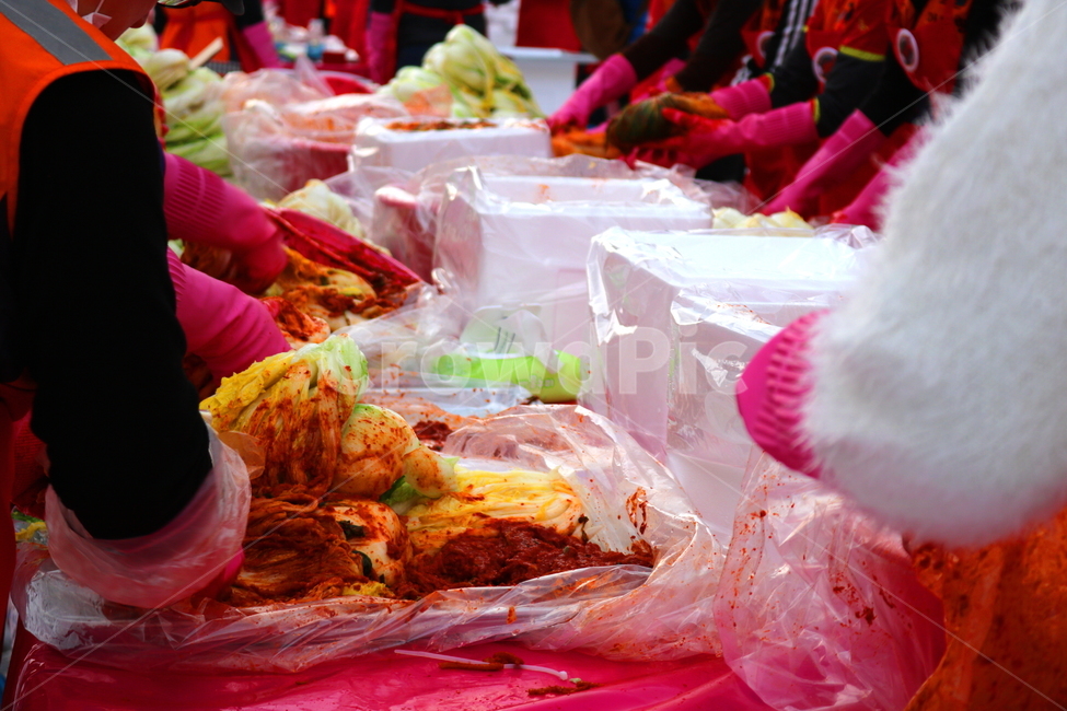 김치,김장,김장김치,배추,절임배추,배추김치,김장철,겨울,사람들,대중,군중,other people,crowd,신체일부,몸,body,음식,식재료,요리,food,cook,meal,dishes,food reserves,채소,야채,vegetables,한식,한국음식,한국요리,korean food,korean dishes,korean meal,korean cook