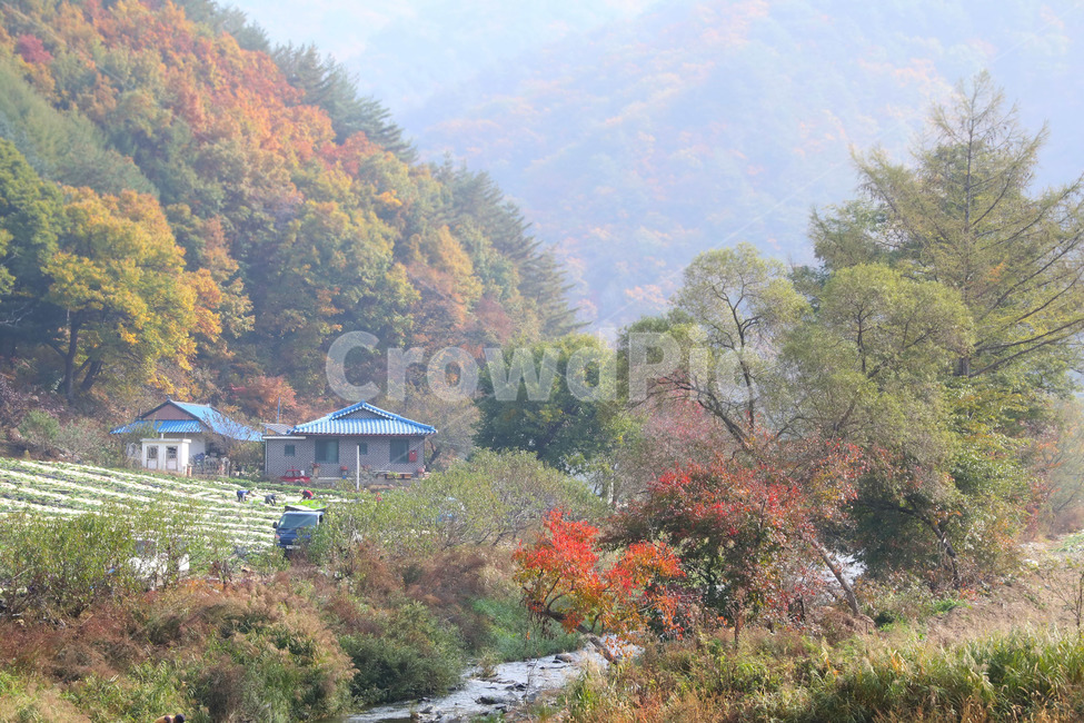 시골,산골,가을풍경,촌집,자연풍경,가을,계절,fall,autumn,season,시골,마을,풍경,landscape,country,rural,town,nature,자연,outdoors,옥외,building,건물