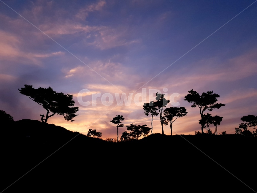 일몰,노을,공원,하늘,구름,풍경,저녁,자연,풍경,nature,landscape,실루엣,그림자,silhouette,shadow,outdoors,옥외