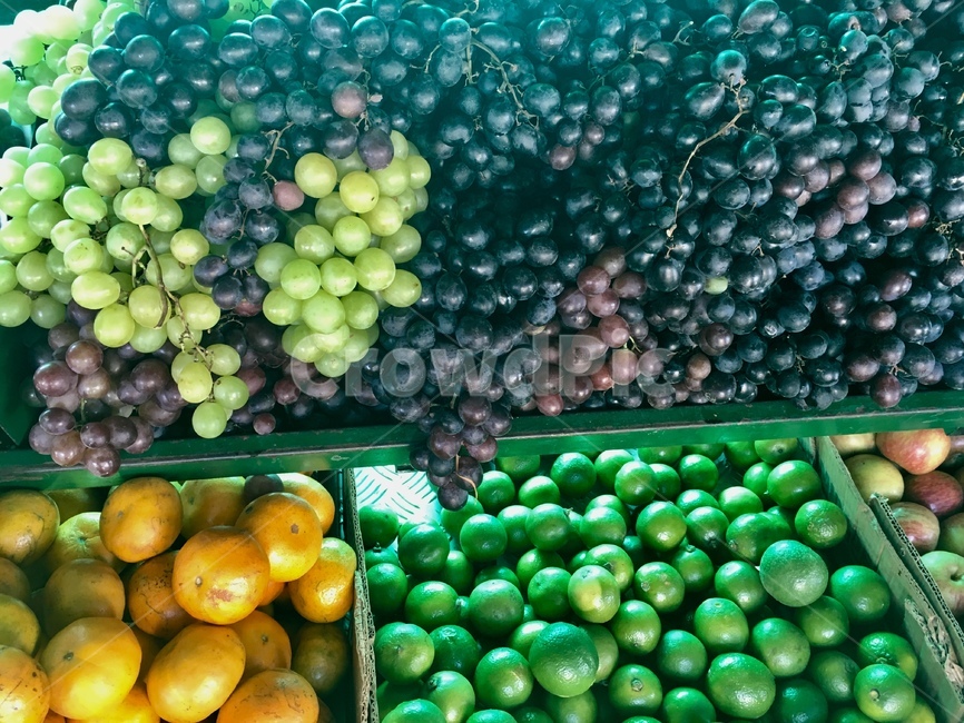 포도,라임,귤,시장,열대,과일,가게,음식,보라색,초록,녹색,grape,lime,mandarin,tangerin,tropical,fruit,market,store,shop,latin,food,purple,violet,green