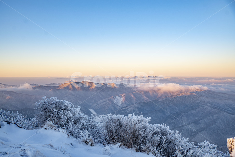 설산,태백산,겨울산,겨울,상고대,풍경,산,겨울풍경,눈꽃,겨울,계절,winter,season,자연,풍경,nature,landscape