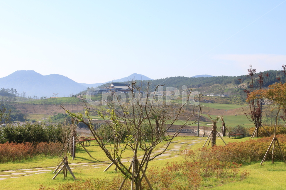한국,자연,잔디,가을,봄