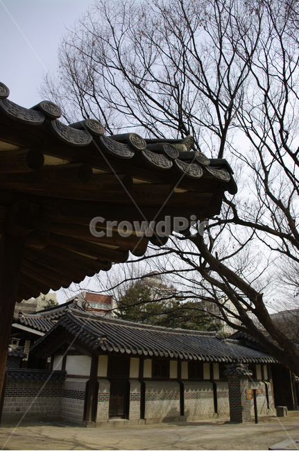 tradition,전통,한옥,전통가옥,운현궁,건축