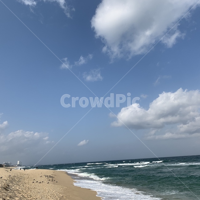 nature,자연,outdoors,옥외,ocean,sea,water,바다,물,대양,해변,바다,beach,sea