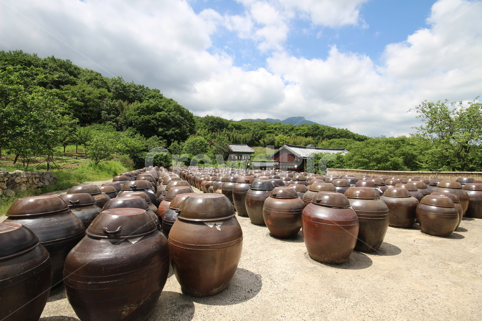 양산,서운암,장독대,절,사찰,한국전통,한국문화,korean traditional,korean culture,사물,물건,오브젝트,thing,object,matter
