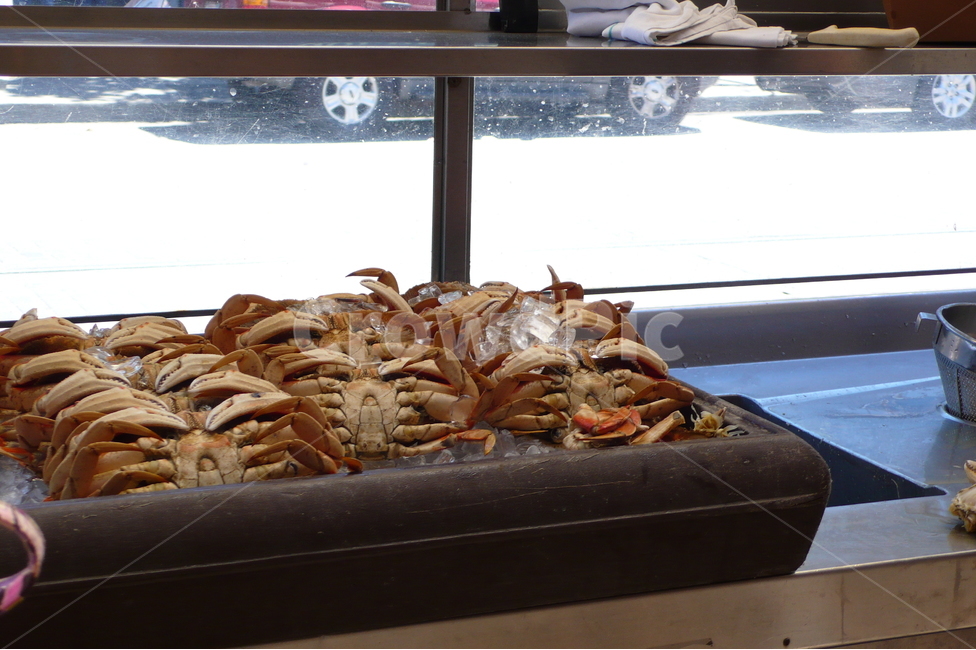 샌프란시스코,게,삶은게,크랩,음식,식재료,음식,식재료,요리,food,cook,meal,dishes,food reserves,수산물,해산물,fishery products,seafood