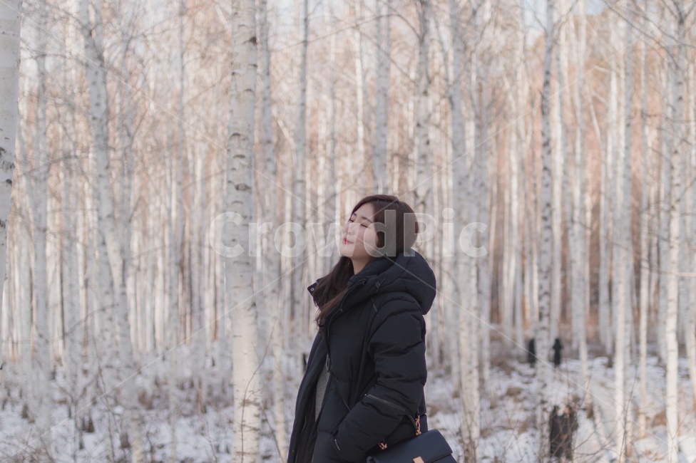 눈,겨울,winter,자작나무,인제,속삭이는자작나무숲,자작나무숲,모델,겨울,계절,winter,season,사람,인물,인간,human,person,여성,여자,woman,female,lady,여행,휴가,traveling,vacation,trip