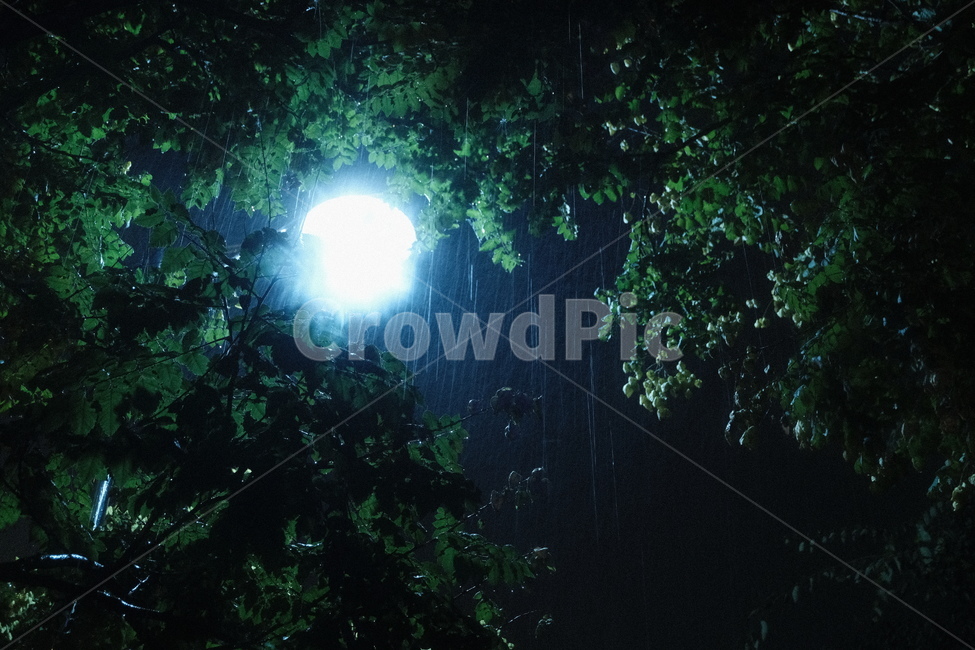 비오는밤,비오는날,비,가로등,가로등비,자연,풍경,nature,landscape,야경,밤,nightscape,night,비,비오는날,rain,rainy,outdoors,옥외,astronomy,천문학,universe,우주,outer space,대기권 밖,space