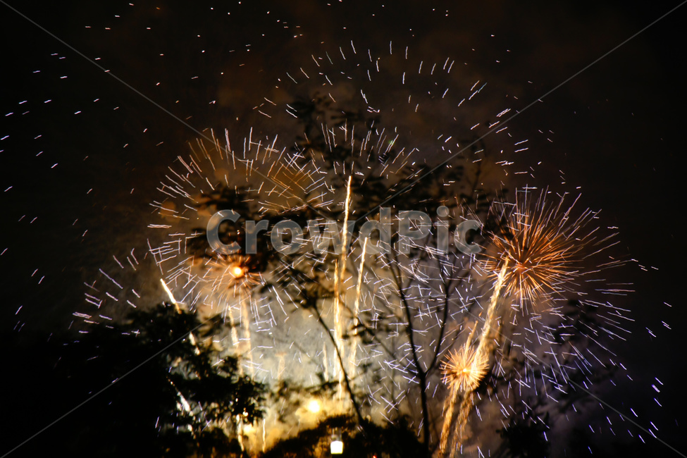 lighting,조명,축제,festival,불꽃,flame,outdoors,fireworks,fireworksdisplay,야경,밤,풍경,nightscape,night,landscape,축제,행사,festival,carnival,event,nature,자연,옥외