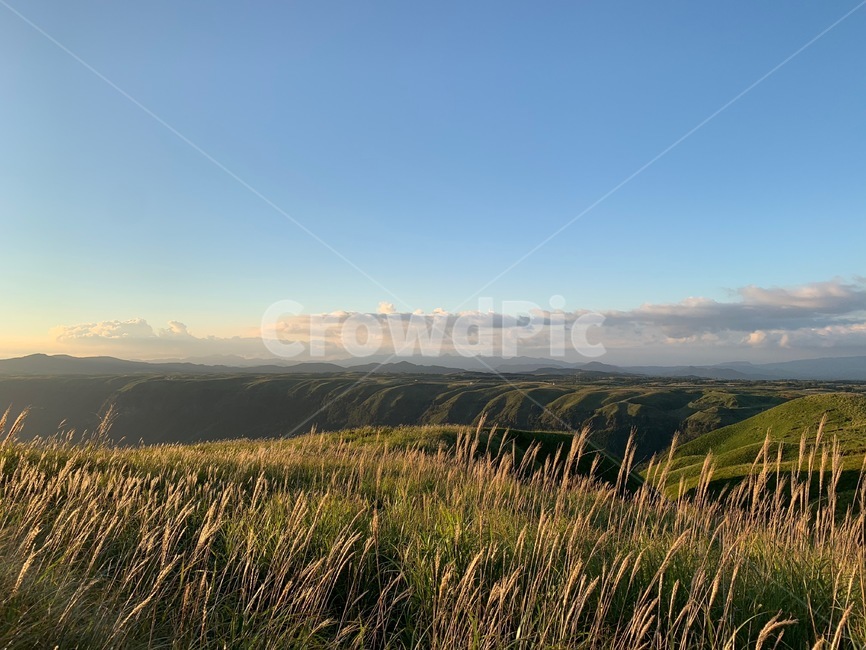 plant,식물,다이칸보,daikanbo,쿠마모토,kumamoto,일본,japan,평원,field,갈대,reed,들판,풍경,landscape,가을,autumn,fall,outdoors,옥외,고원,plateau,자연,풍경,nature,landscape,grass,잔디